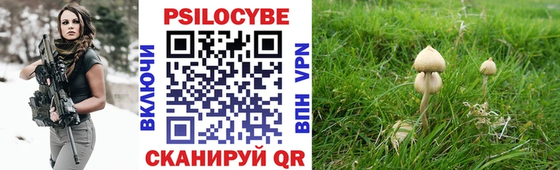 Галлюциногенные грибы мицелий  Урюпинск 
